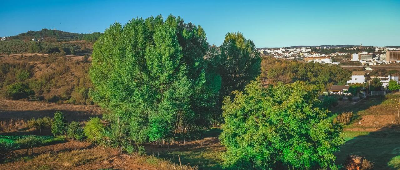Alojamento Local Do Arado Bragança Kültér fotó
